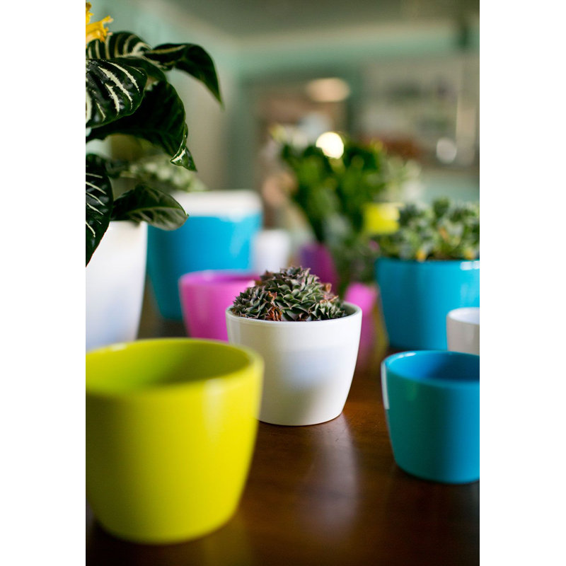 Pot à fleurs en céramique Marcie, H 3,25 po x l 4,25 po x P 4,25 po