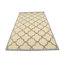 Tapis oriental crème et taupe 5X8
