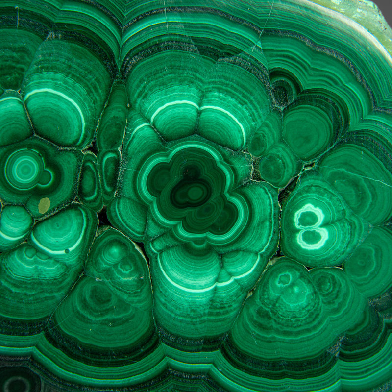 Genuine Polished Malachite Stalactite Slice (1.6 Lbs)