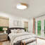 LED Flush Mount
