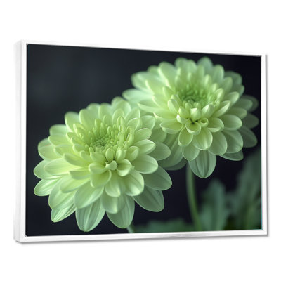 «Green Monochrom Mums Flowers Bouquet I», art mural «Mums»