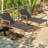 Arshia Outdoor Chaise Lounge with Table-1149600187