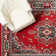 Modena Oriental Indoor Rug