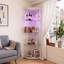 Display Cabinet-1108497540