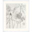 Painted Pressed Floral 4 Print