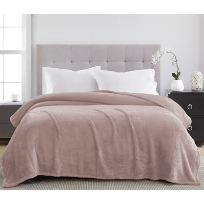 Vanessa Teddy Plush Blanket