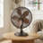 Oscillating Table Fan