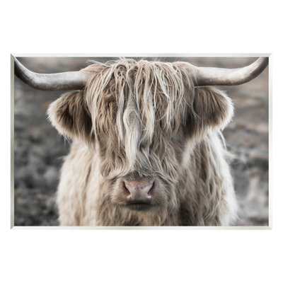 Détaillée de bouvier de campagne détaillée par Danita Delimont - photographie sans cadre sur panneau de fibres à densité moyenne