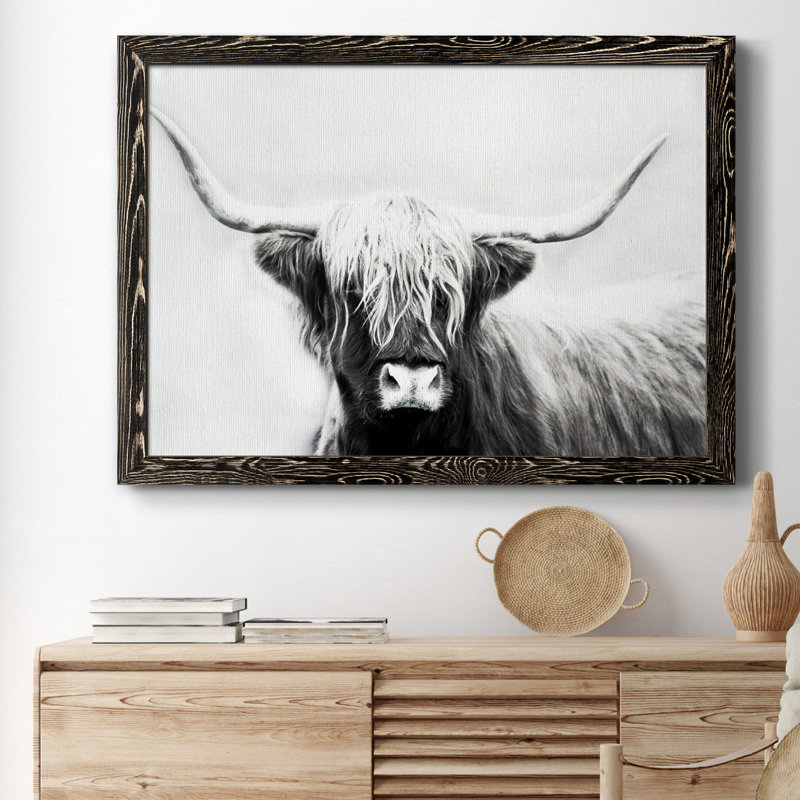 Highland Longhorn - Cadre flottant, reproduction de photo sur toile, H 37,5 po x l 27,5 po x P 1,5 po, Toile avec cadre noir