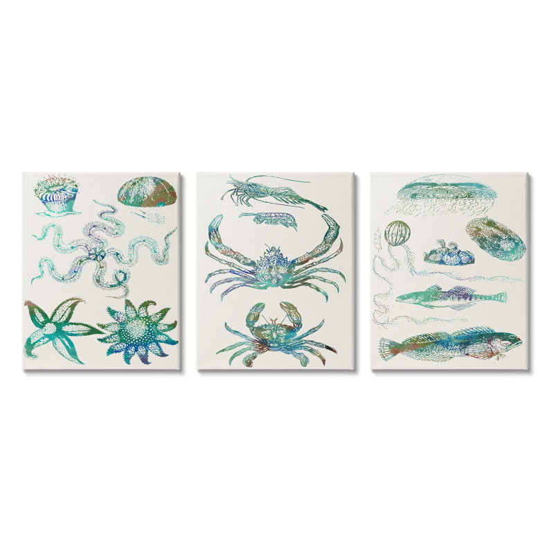 Collage de créatures aquatiques bleues, Toile tendue, H 20 po x l 16 po