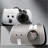 Pet Bag Foldable Cat Carrier Backpack-388024058