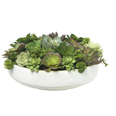 Mixed Echeveria In Clay Bowl