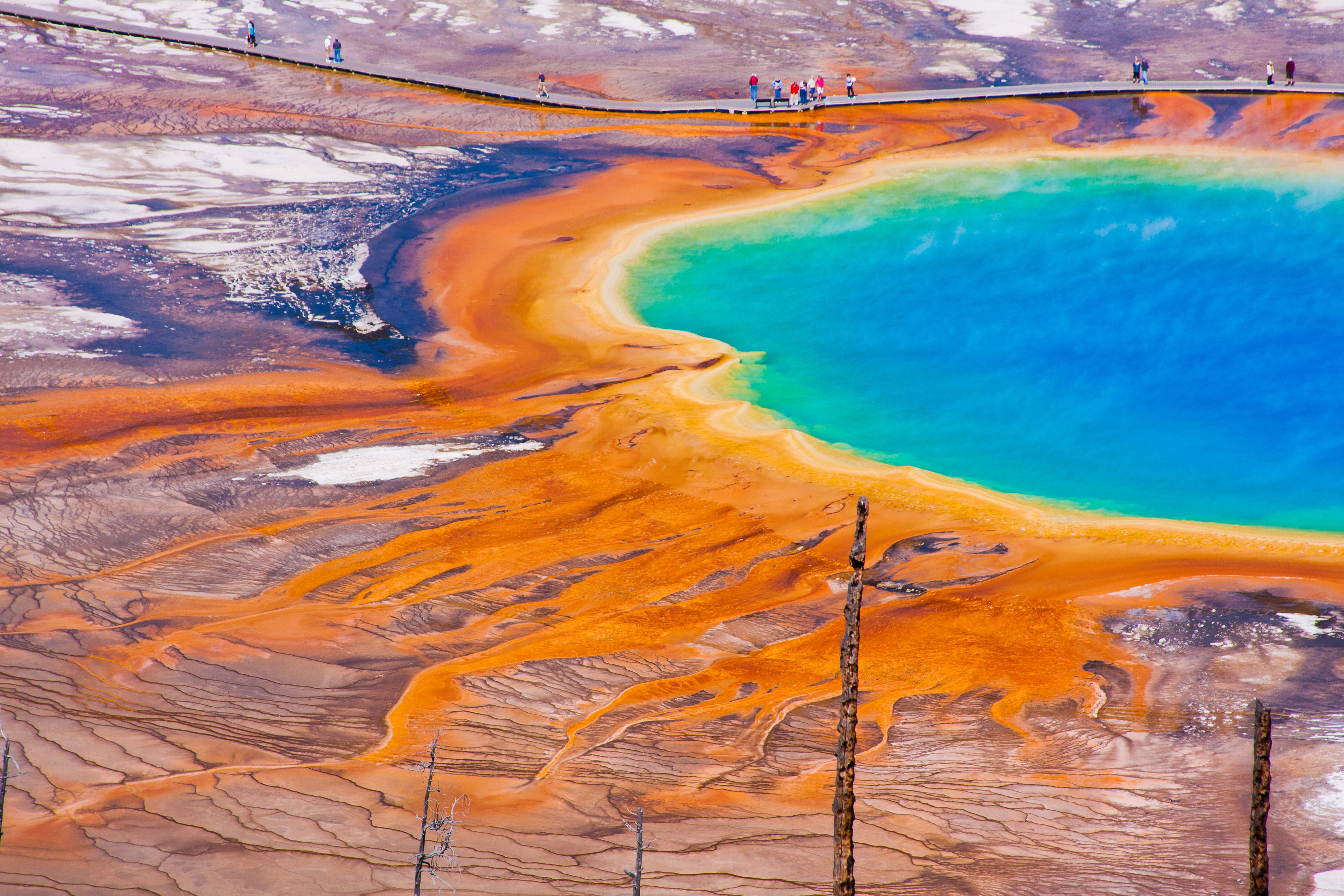 Yellowstone National Park Panoramic Wall Decor - Grand Prismatic Spring  Picture