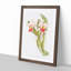 Magnolia Flowers Illustration Tab.72 by Frederick Sander - Picture Frame Painting Print-55760447-55760445