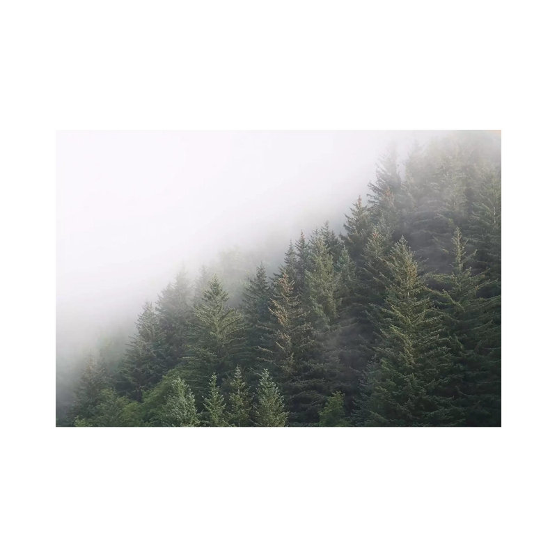 Alaska Green Trees by Kari Brooks - Wrapped Canvas Gallery-Wrapped Canvas Giclée, 20.32 cm H x 30.48cm W