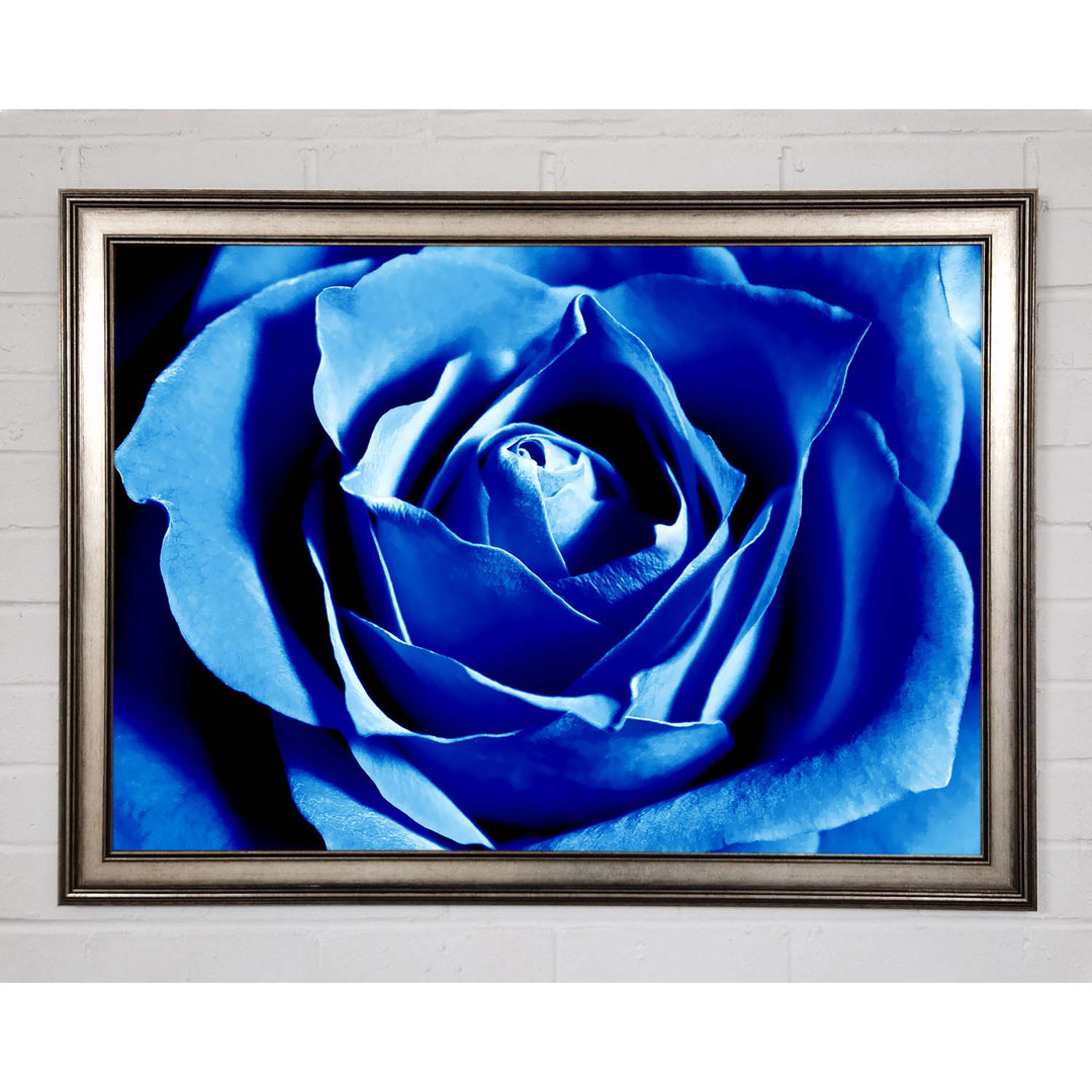 Gerahmtes Leinwandbild Blue Rose Petal