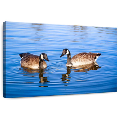 Crowle Two Geese In A Pond
