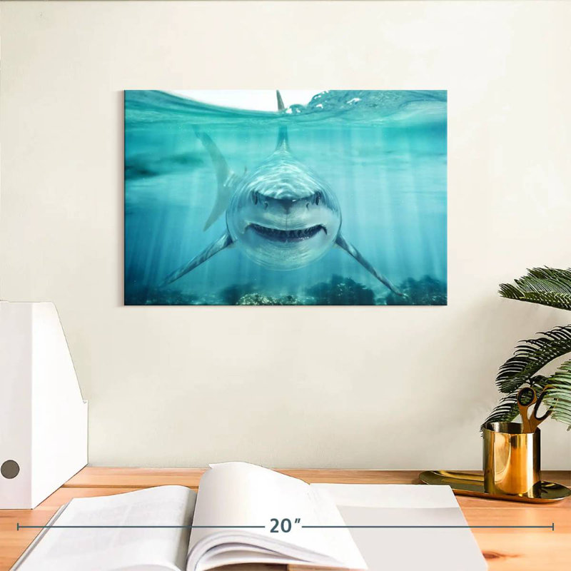 Brampt Predatory White Shark, 8" H x 12" W