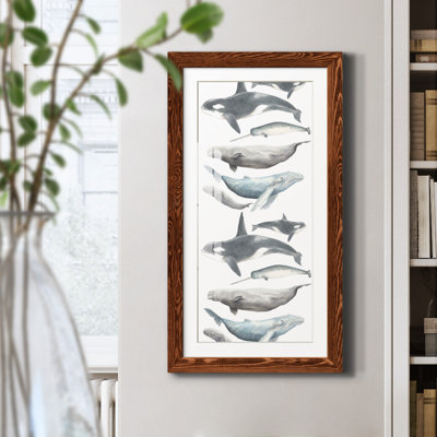 Watercolor Whale Collection B - Reproduction d'art graphique sur papier encadré