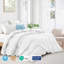 Insertion de couette en duvet d'oie toutes saisons avec housse de couette 100% coton 300TC-2050847817-2104695321
