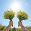 20 paquets de plantes artificielles artificielles pour l'extérieur (jaune)-316510058