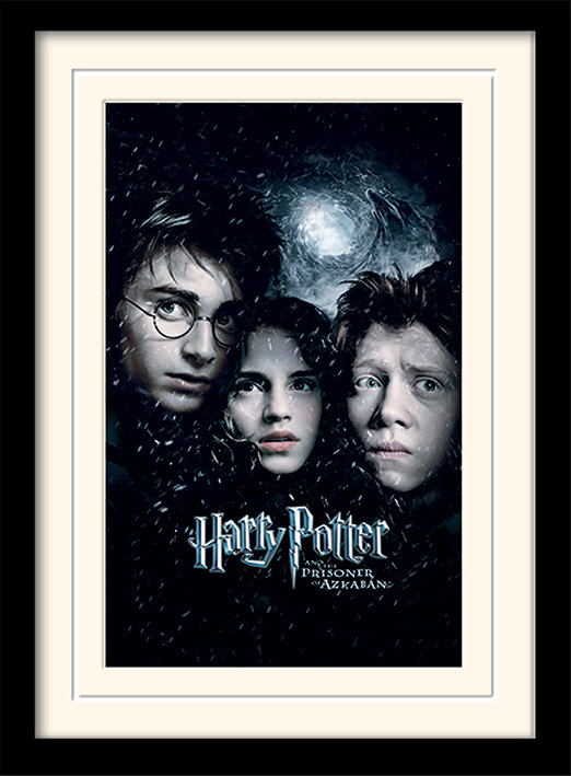 Single Picture Frame Print
