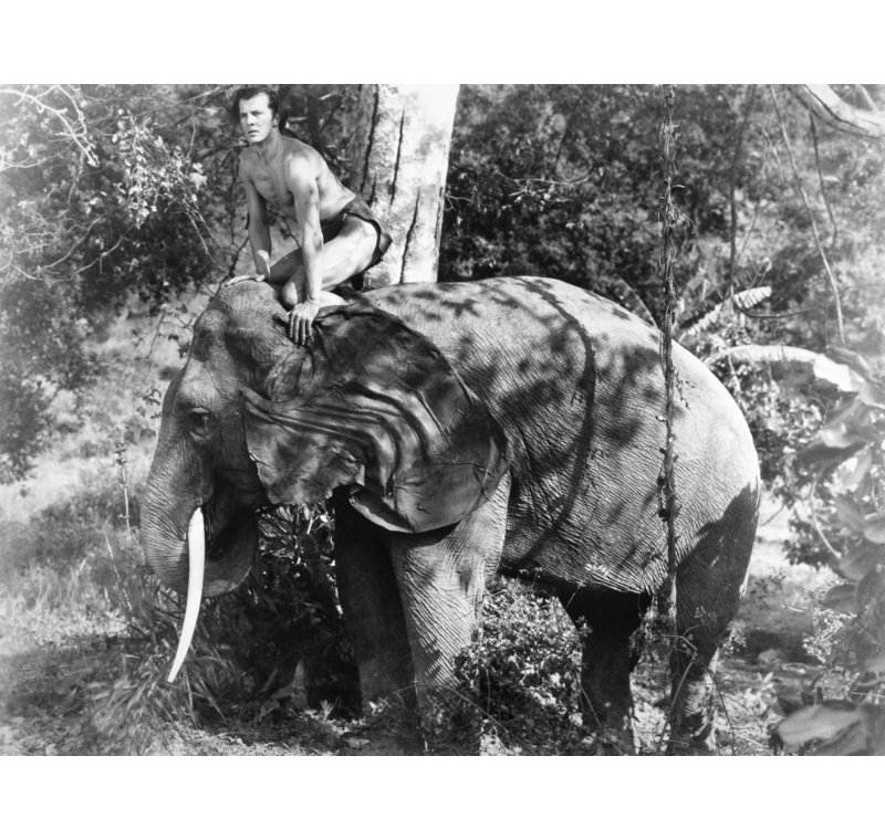 Tarzan Brix 1935. Nherman Brix (plus tard Bruce Bennett) dans le titre de «The New Adventures Of Tarzan» 1935 (renommé
