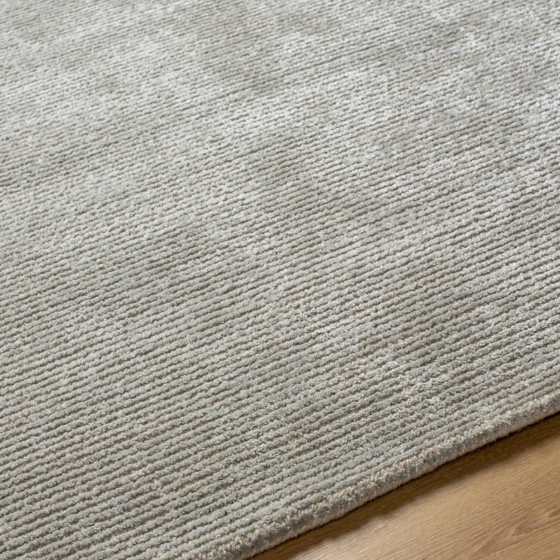 Babet Hand Tufted Indoor Rug, Rectangle 2' x 3'
