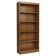 Axess Bookcase