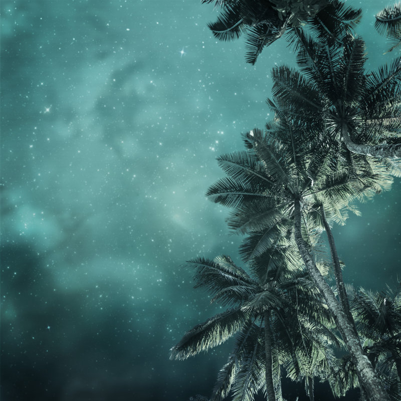 Tropical Background - Wrapped Canvas Print, 91cm H x 91cm W x 3.8cm D