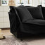 Ensemble de fauteuils d'appoint avec coussins