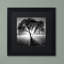 "Lightning Tree I" by Moises Levy Framed Photographic Print-15821992
