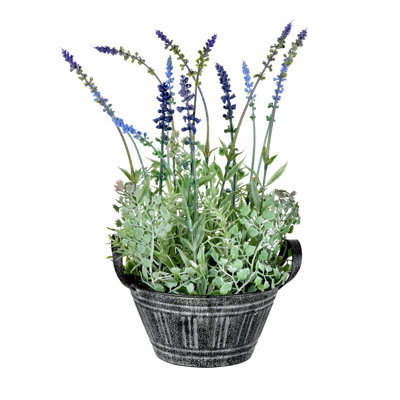 Lavender Arrangement in Pot