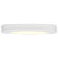 Daemon Acrylic Flush Mount-956030001-990642560