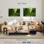 Ruisseau de forêt-571168937-571168933
