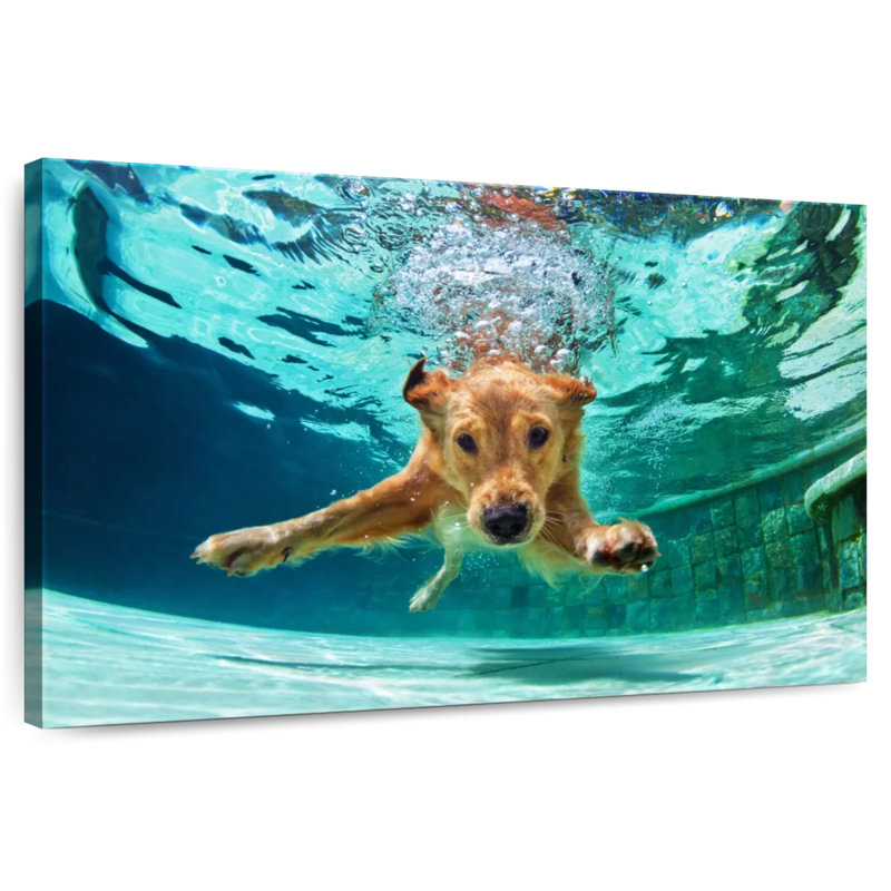 Golden Retriever Diving, 8" H x 12" W