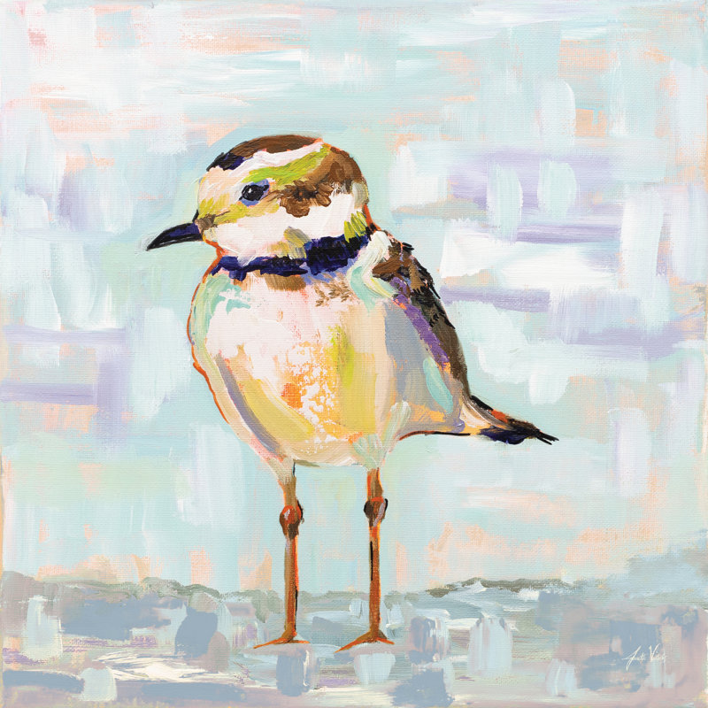 «Coastal Plover II Neutral» par Jeanette Vertentes, reproduction d'art sur toile tendue, H 20 po x l 20 po, Non