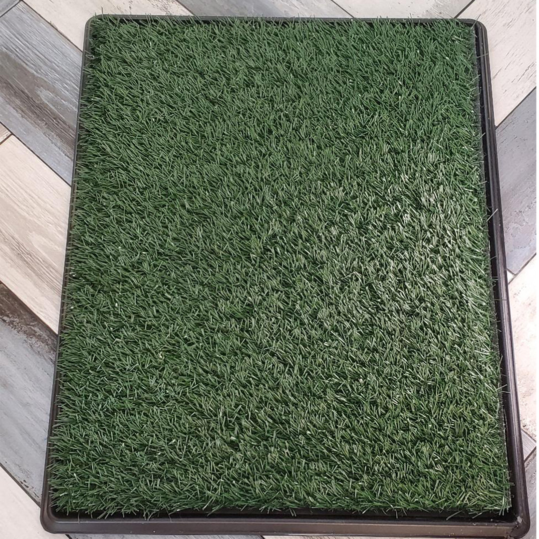 Chamroeun 30X20 Inch Fake Grass Pee For Dog Artificial Grass Rug Pad For Puppy Potty Washable Grass Mat For Pet Training Tucker Murphy Pet™ 