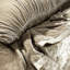 Lumbar Pillow Cover & Insert-1951539169