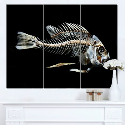 Fish Skeleton Bone on Black' 3 Piece Photographic Print on Wrapped Canvas Set -  Design Art, PT13163-3P