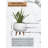 Ceramic Pot Planter