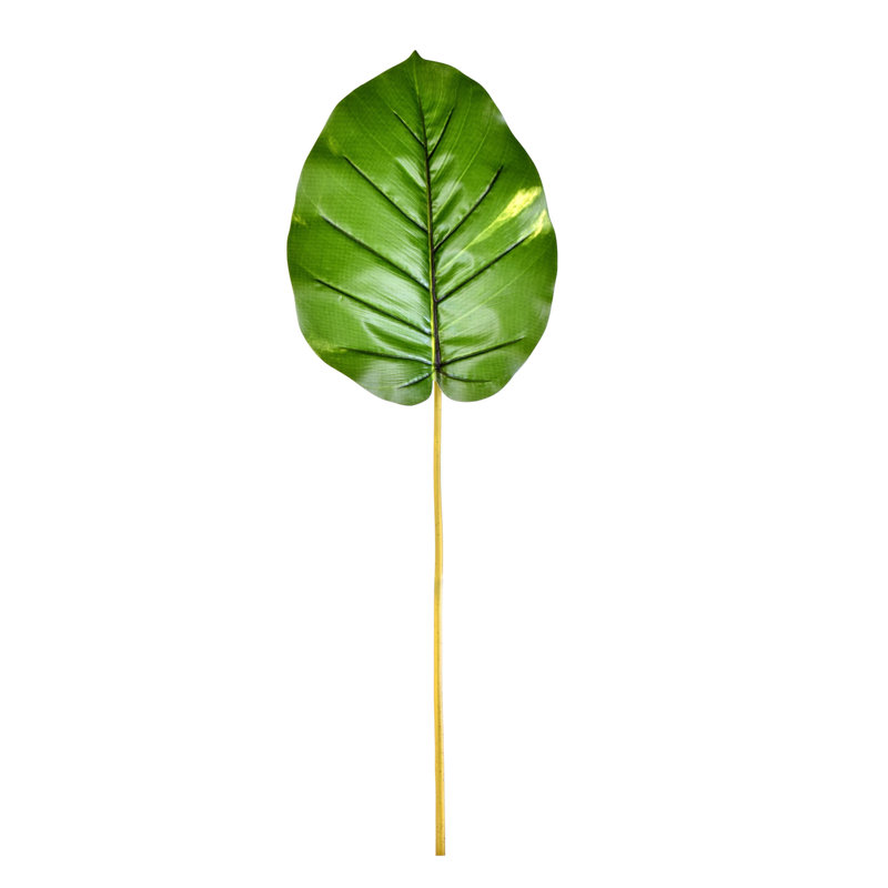 Potence artificielle Pothos