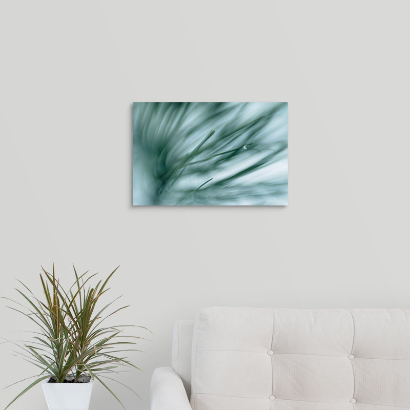 «Pine Needles in Rain», impression sur toile, H 12 po x l 18 po x P 1,5 po