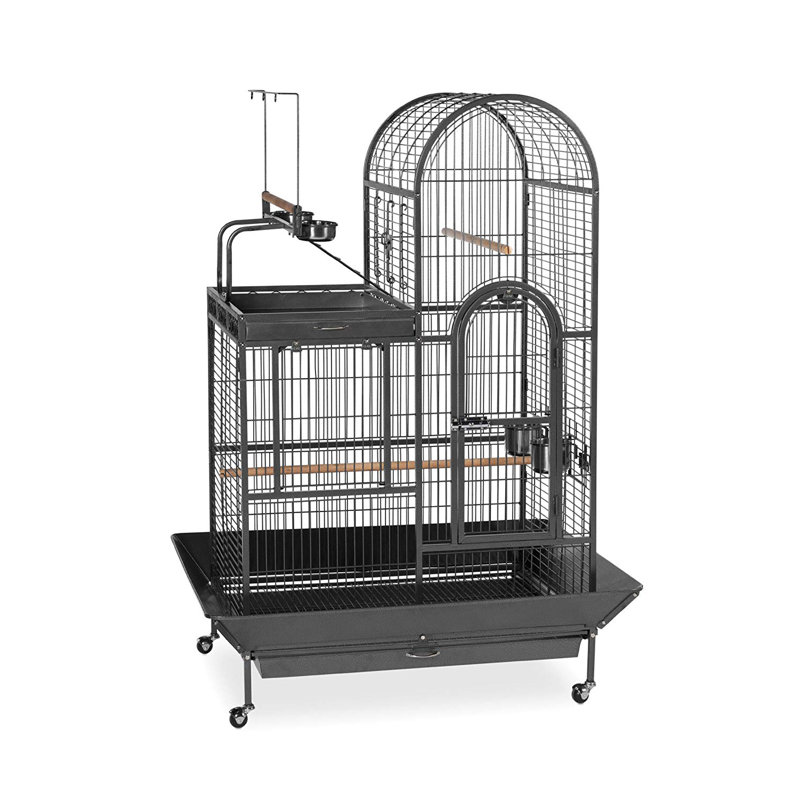 Nickelson Deluxe Parrot Bird Cage with Play Top
