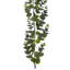Guirlande en faux eucalyptus-115676151