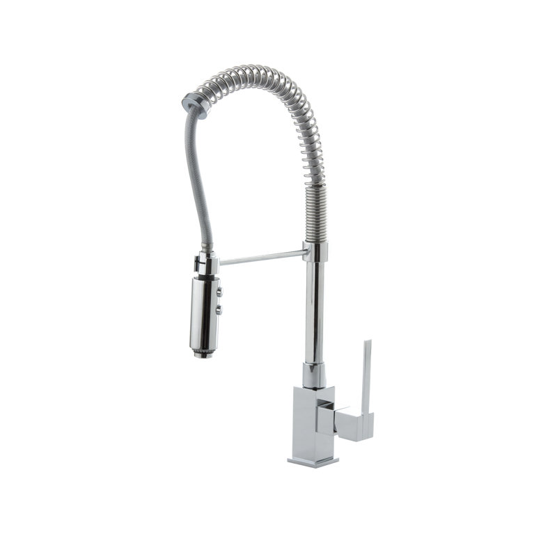 Belfry Bathroom Shirlee Pull Down Kitchen Faucet
