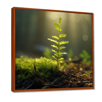 «Young Tree Forest Sunset - Leaves», art mural