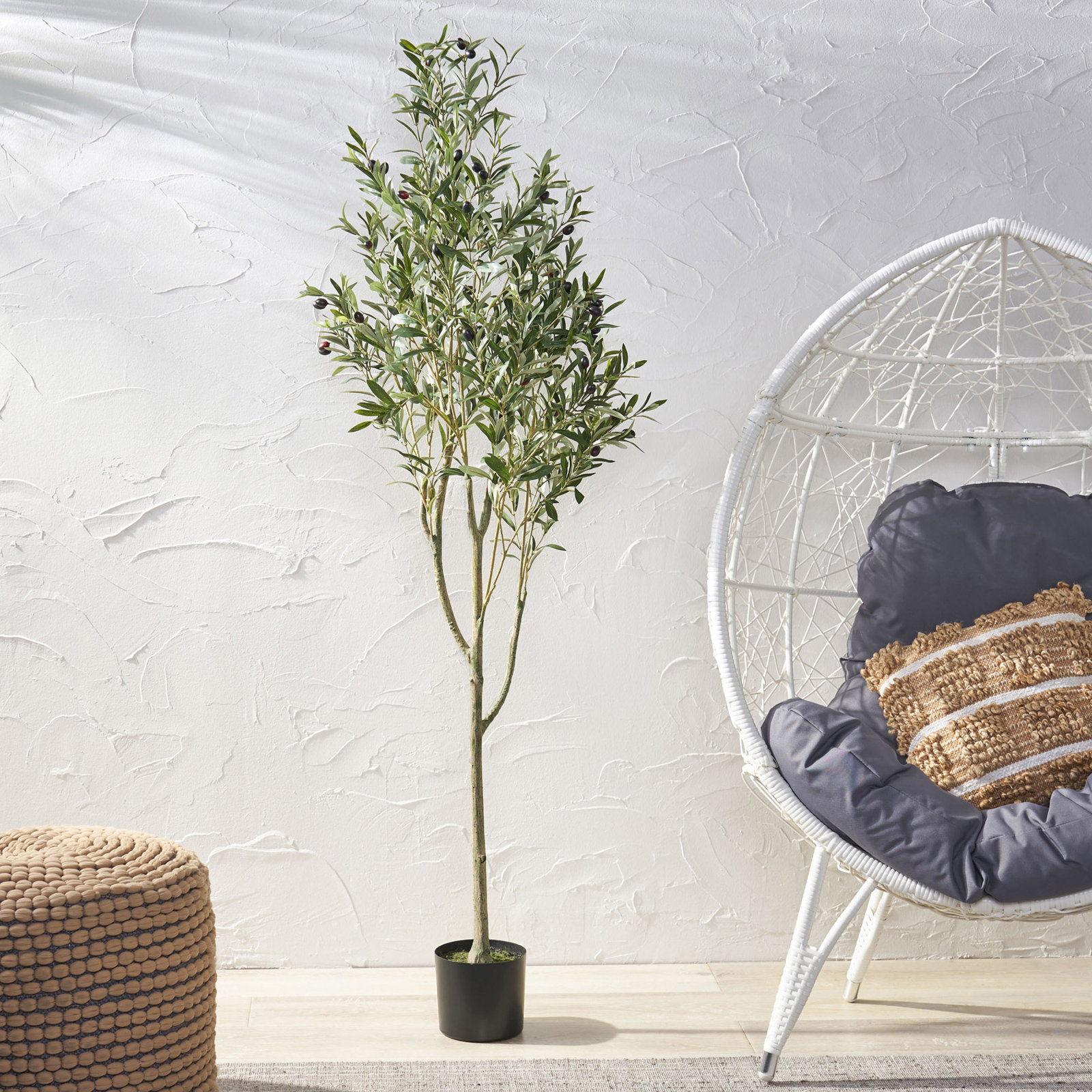 Aarav Olive Tree in Pot, 71" H x 27" W x 27" D
