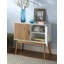 Asten 2 - Door Accent Cabinet-120789066