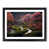 Black Framed selected